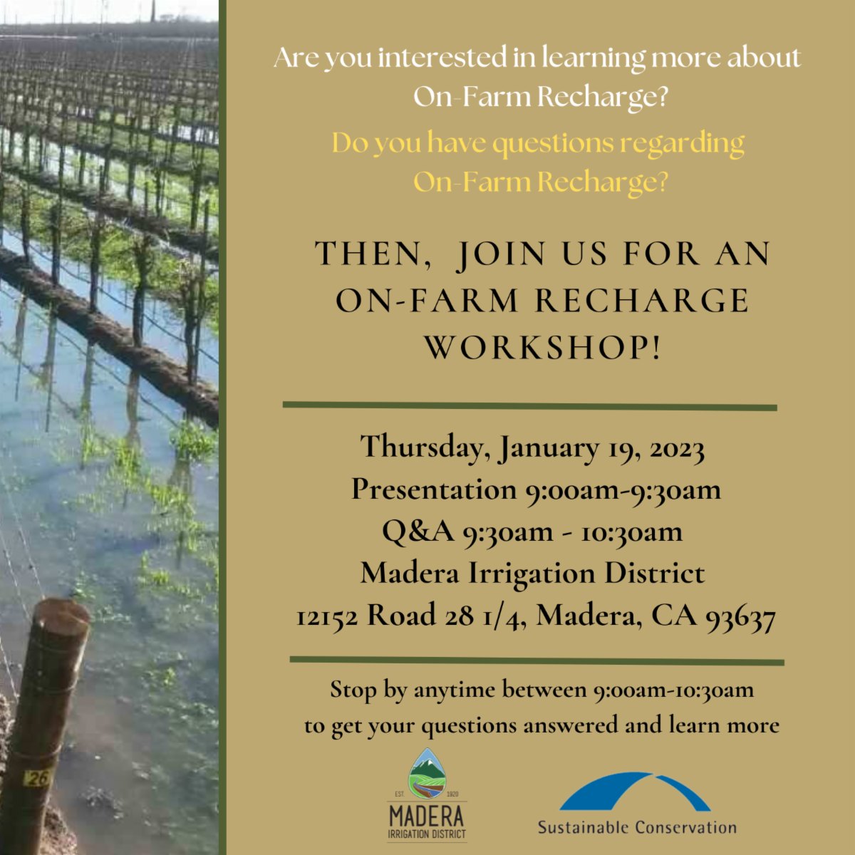 Madera Irrigation District On Farm Recharge Madera County